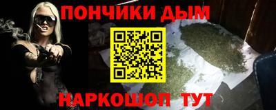 шишки Будённовск