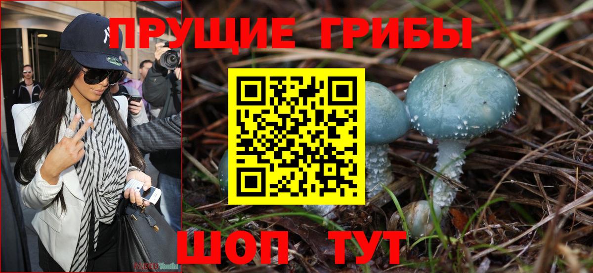 Псилоцибиновые грибы ЛСД Тюмень