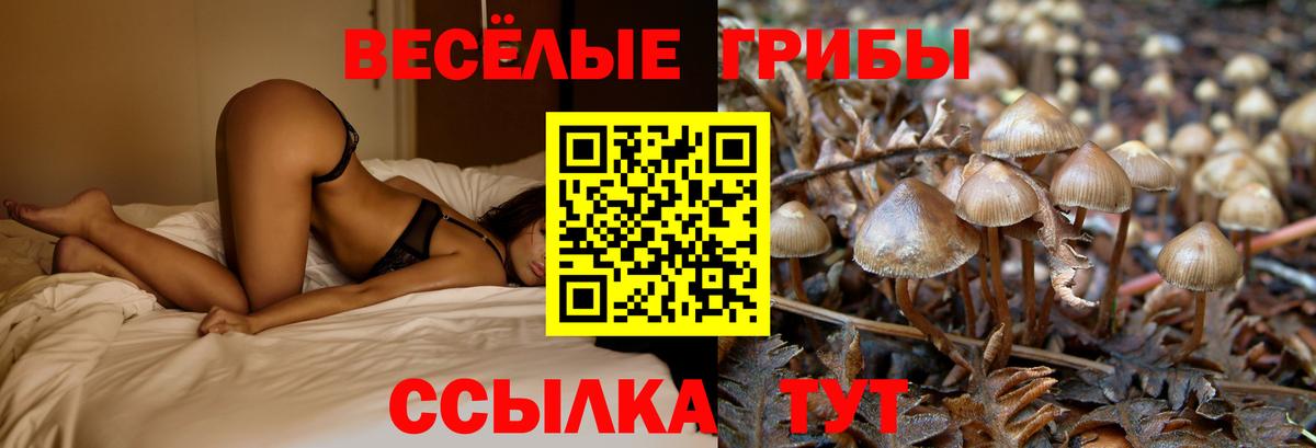 Псилоцибиновые грибы MAGIC MUSHROOMS  Псилоцибиновые грибы мухоморы  Вход с VPN  Тюмень 